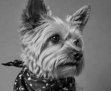 Load image into Gallery viewer, Tessera - Small Square